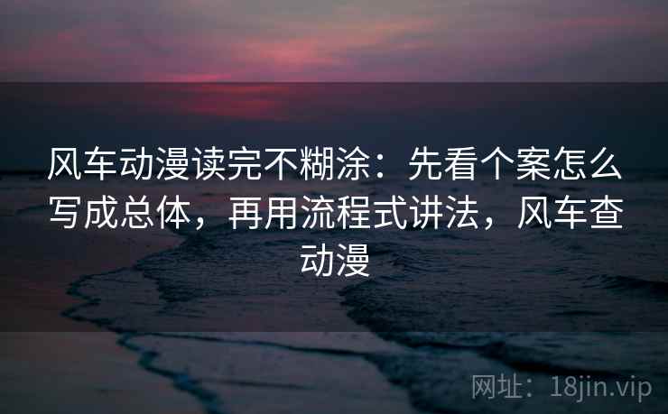 风车动漫读完不糊涂：先看个案怎么写成总体，再用流程式讲法，风车查动漫